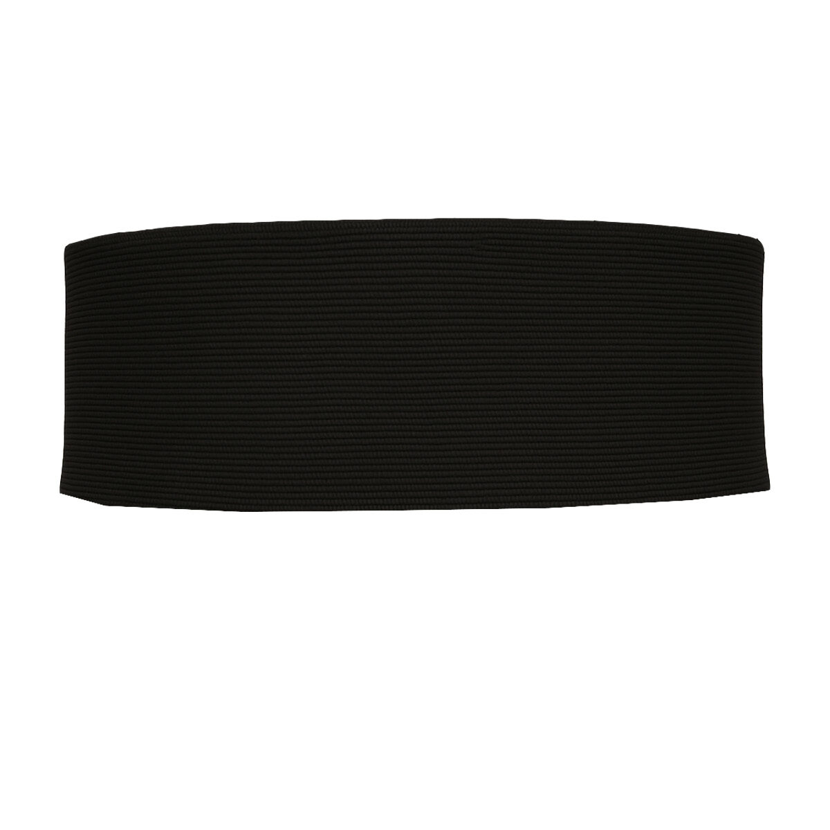 Fascia elastica